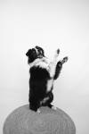 Ludvina LARRAZ - LUDY PHOTOGRAPHY