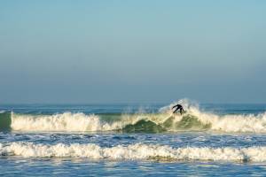 Véronique LARRUE - LARRUE VERONIQUE