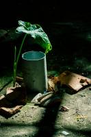 Charlie GARDERE - GARDERE CHARLIE